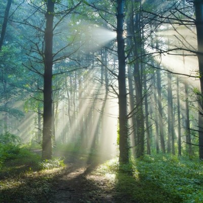 1920 x 1080 HD Wallpapers 1378